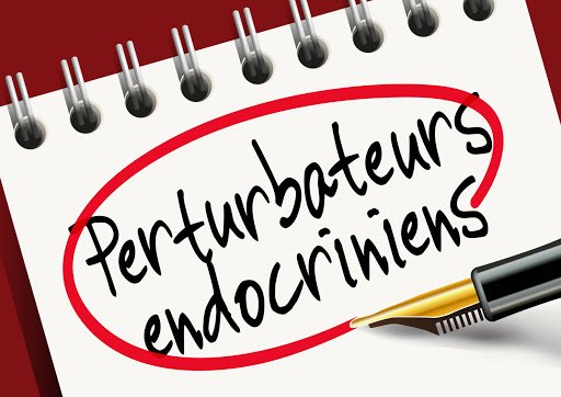 Perturbateurs endocriniens